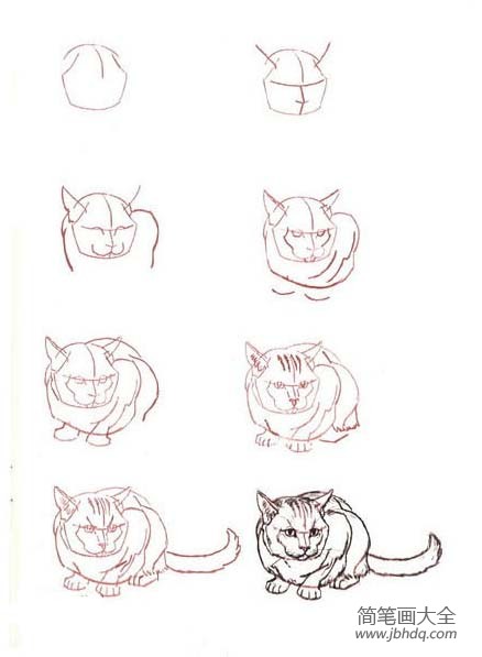简笔画教程 猫咪的多种简笔画步骤
