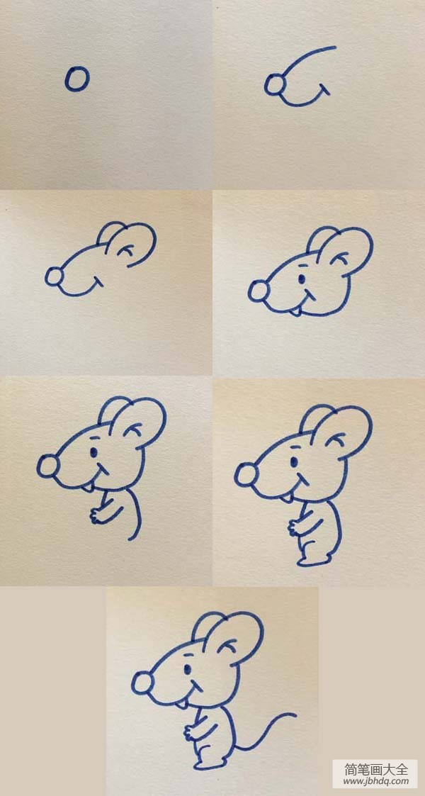 简笔画教程 老鼠简笔画步骤图