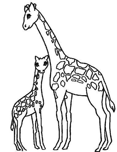 动物简笔画 长颈鹿简笔画画法
