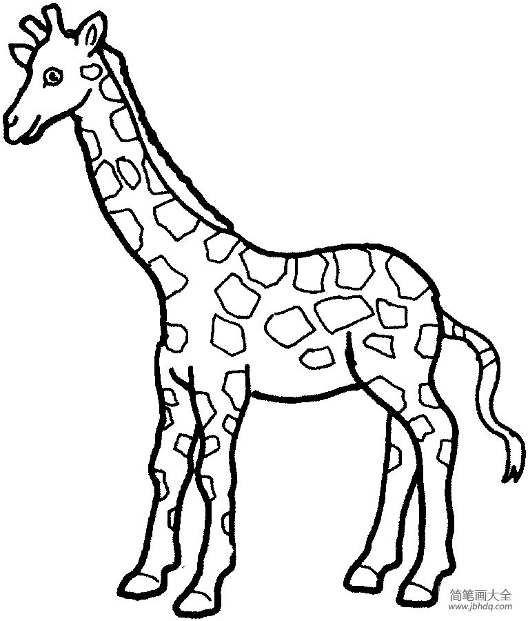 小学生长颈鹿简笔画