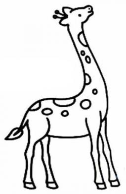 脖子长长的长颈鹿怎么画