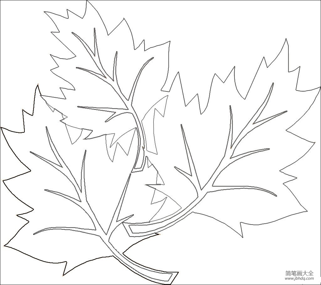 植物简笔画 关于树叶的简笔画图片