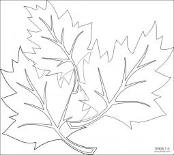 植物简笔画 关于树叶的简笔画图片
