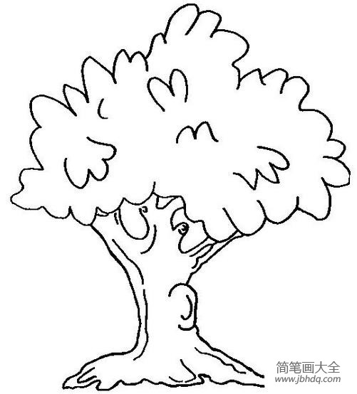儿童简笔画 茂盛的大树简笔画图片