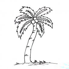2016海边的椰子树简笔画图案大全