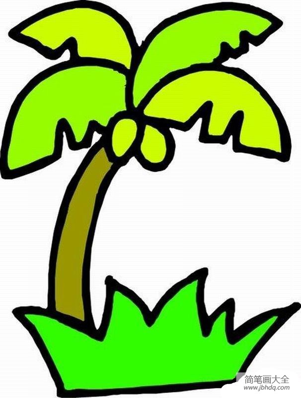 2016年幼儿简笔画椰子树画法