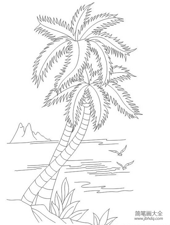 2016夏日沙滩椰子树简笔画