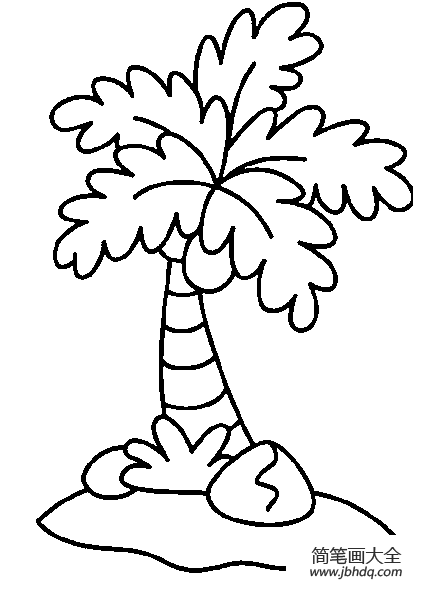 盛夏的椰子树简笔画