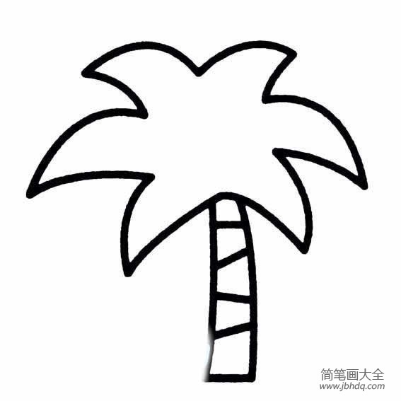 盛夏的椰子树简笔画