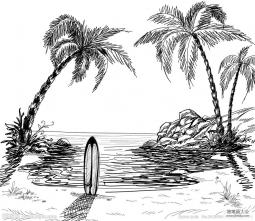 夏天的椰子树简笔画图片