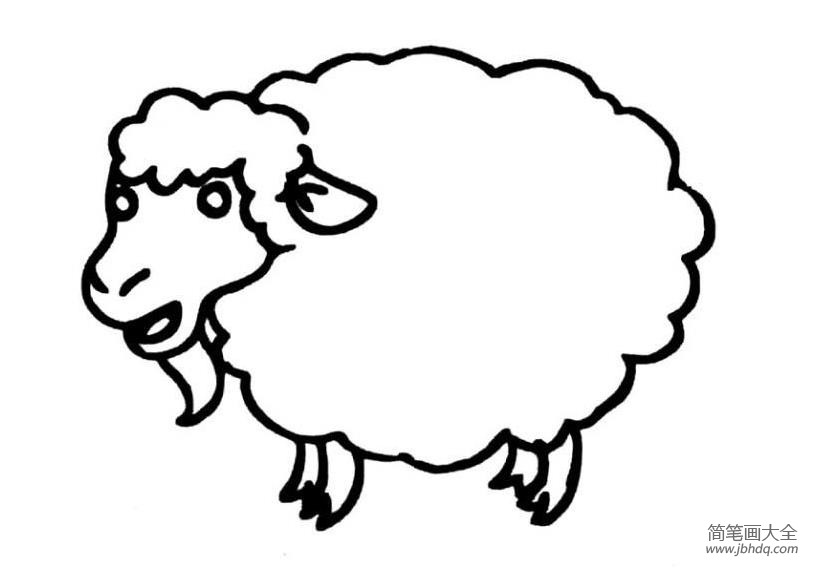 关于羊的简笔画画法