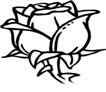 2016关于玫瑰花的简笔画图片