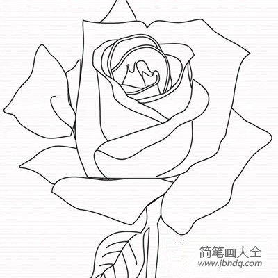 2016关于玫瑰花的简笔画图片
