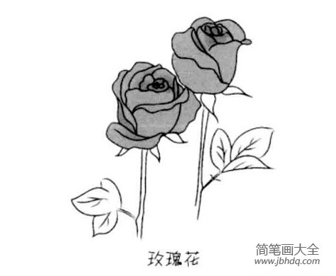 儿童简笔画玫瑰花的画法