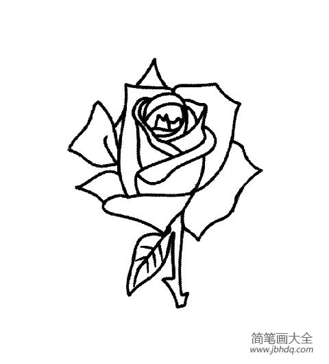 一朵玫瑰花的简笔画