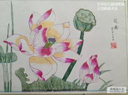 中秋节为主题儿童画-荷花朵朵开