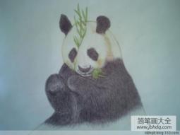 小熊吃竹笋儿童画画作品