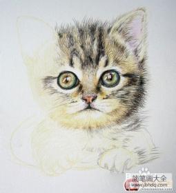 可爱的小猫咪儿童画画作品