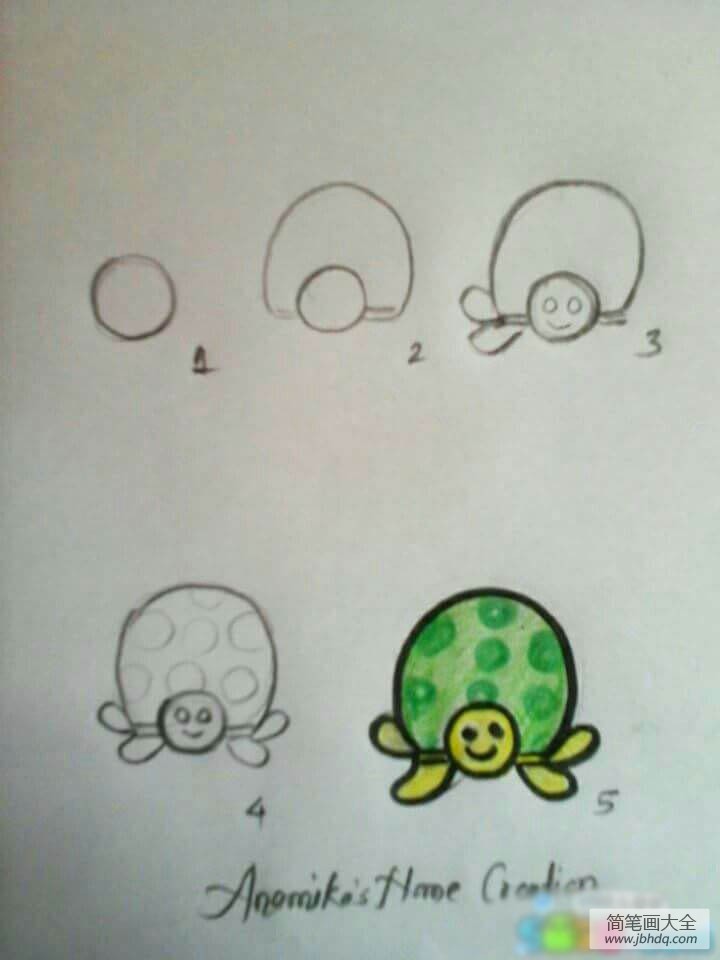 乌龟的简笔画步骤图