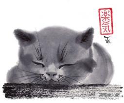 打瞌睡的猫简单入门动物国画