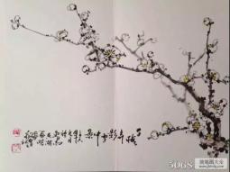 墙角数枝梅,中国画花鸟写意梅花作品展示