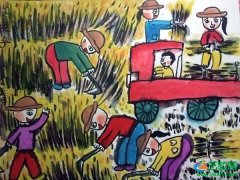小学生优秀水彩儿童画-丰收的小麦