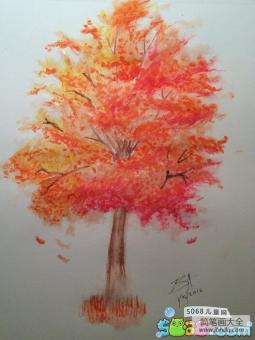 秋天枫树画作品之火红的枫树