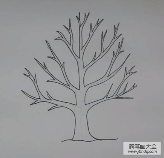 秋天的大树的简单画法