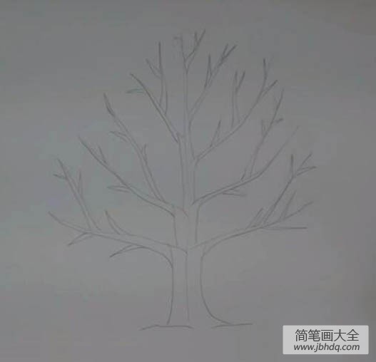 秋天的大树的简单画法
