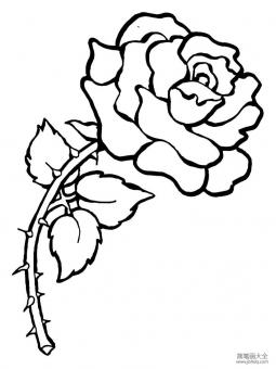 带刺的玫瑰怎么画