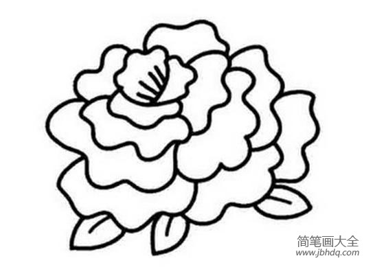 牡丹花朵简笔画 美丽的花朵简笔画