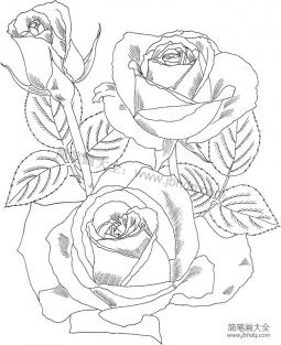 简单的玫瑰花画法大全