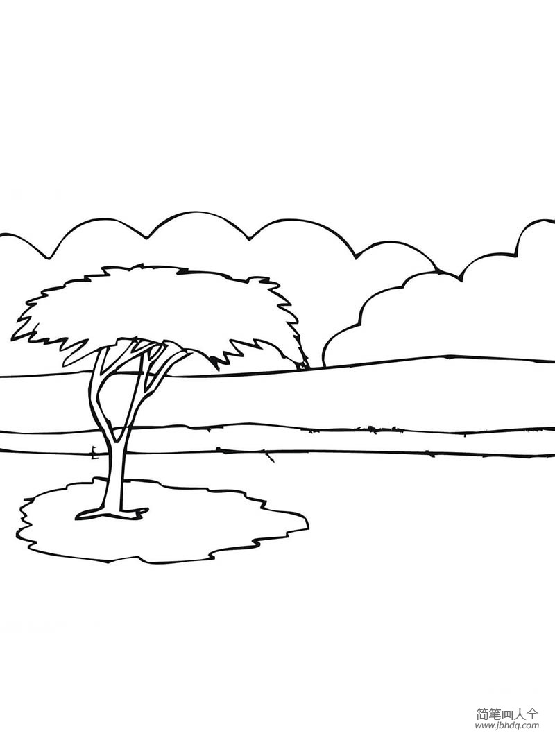 非洲金合欢树简笔画图片