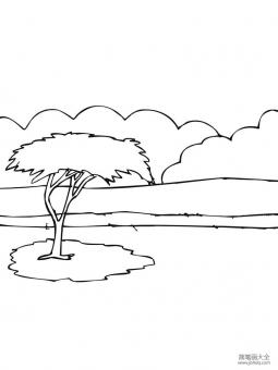 非洲金合欢树简笔画图片