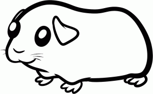 如何画豚鼠简笔画