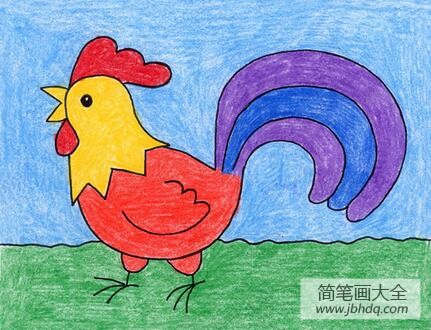 漂亮的大公鸡动物彩铅画教师范画