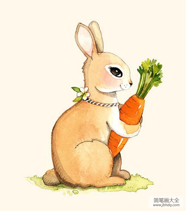 兔子抱着胡萝卜壁纸图片