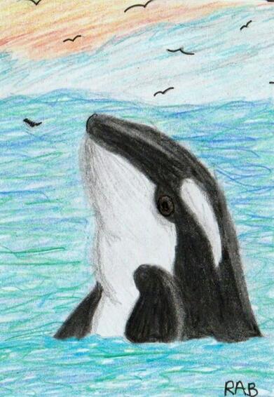寂寞的鲸鱼海底世界画画图片欣赏