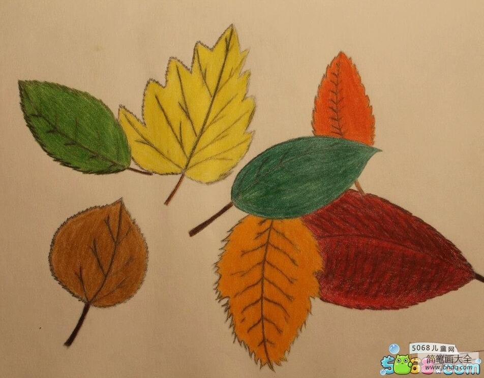 五彩缤纷的落叶关于秋天的画分享