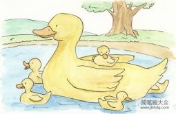 小鸭子游泳动物一家儿童画欣赏