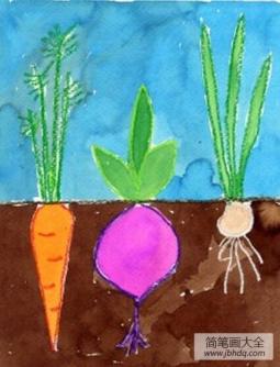 萝卜和甜菜国外创意蔬菜画图片分享