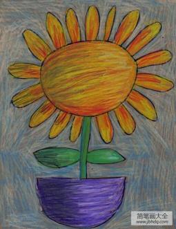 花盆中的向日葵植物主题画欣赏