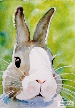 兔子先生的肖像画 水彩写实动物画图片分享