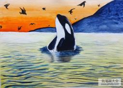 大海中的鲸鱼海底世界画画图片欣赏