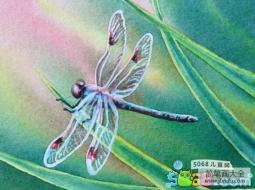 草丛中的小蜻蜓关于夏天的绘画作品