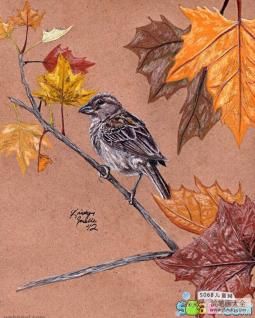 枝头的小麻雀关于秋天的画优秀作品分享