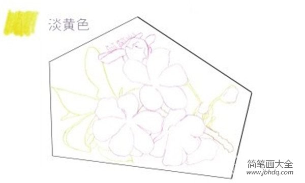 彩铅画樱花绘画技法