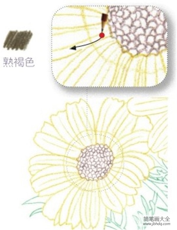 彩铅雏菊的绘画技法