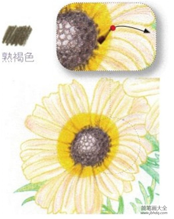 彩铅雏菊的绘画技法