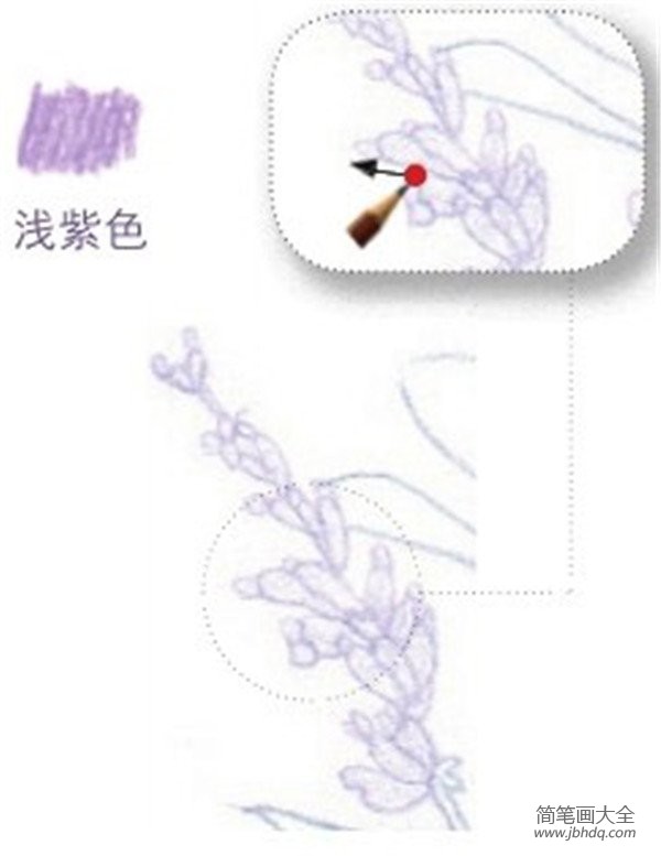 彩铅紫色迎春花的绘画技法
